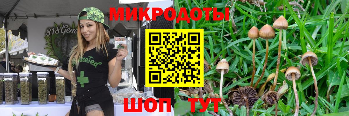 Муром  Псилоцибиновые грибы мицелий  Вход с VPN  Галлюциногенные грибы Magic Shrooms 